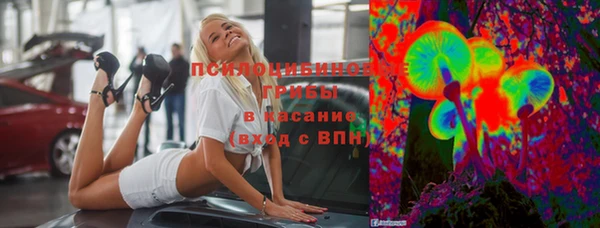 кокс Бородино